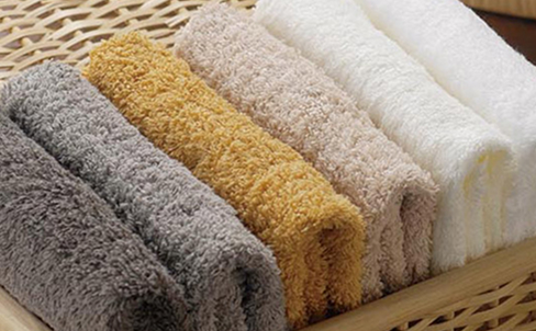 ファーン Fan