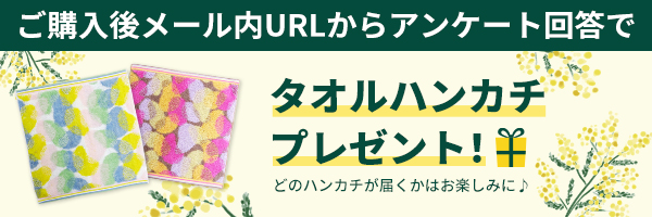 タオルハンカチプレゼント